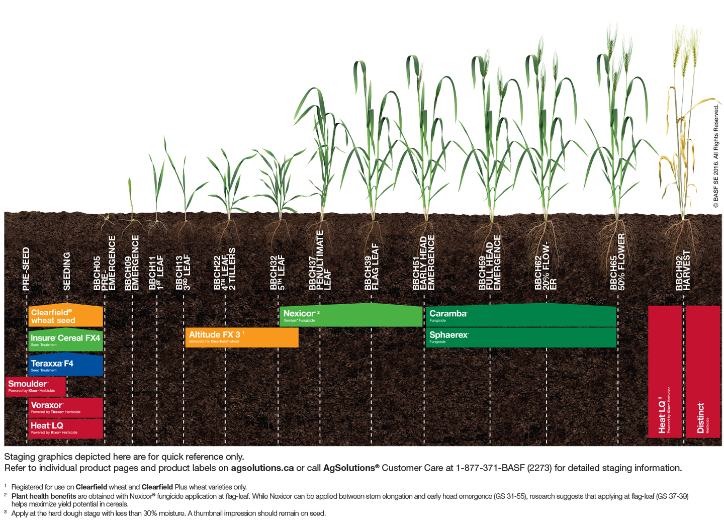 BASF Clearfield Wheat Products